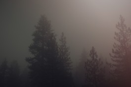  Paul Nitschmann Photography