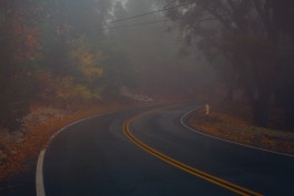  Paul Nitschmann Photography