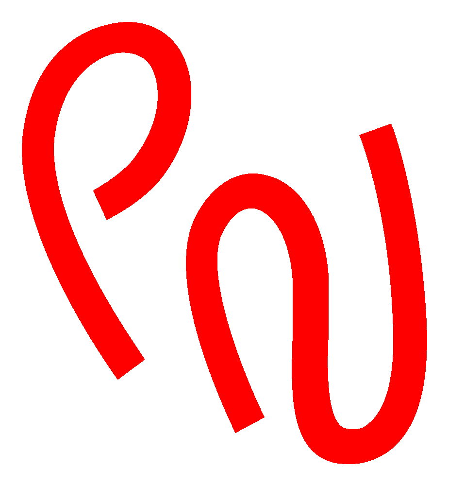Paul Nitschmann Logo
